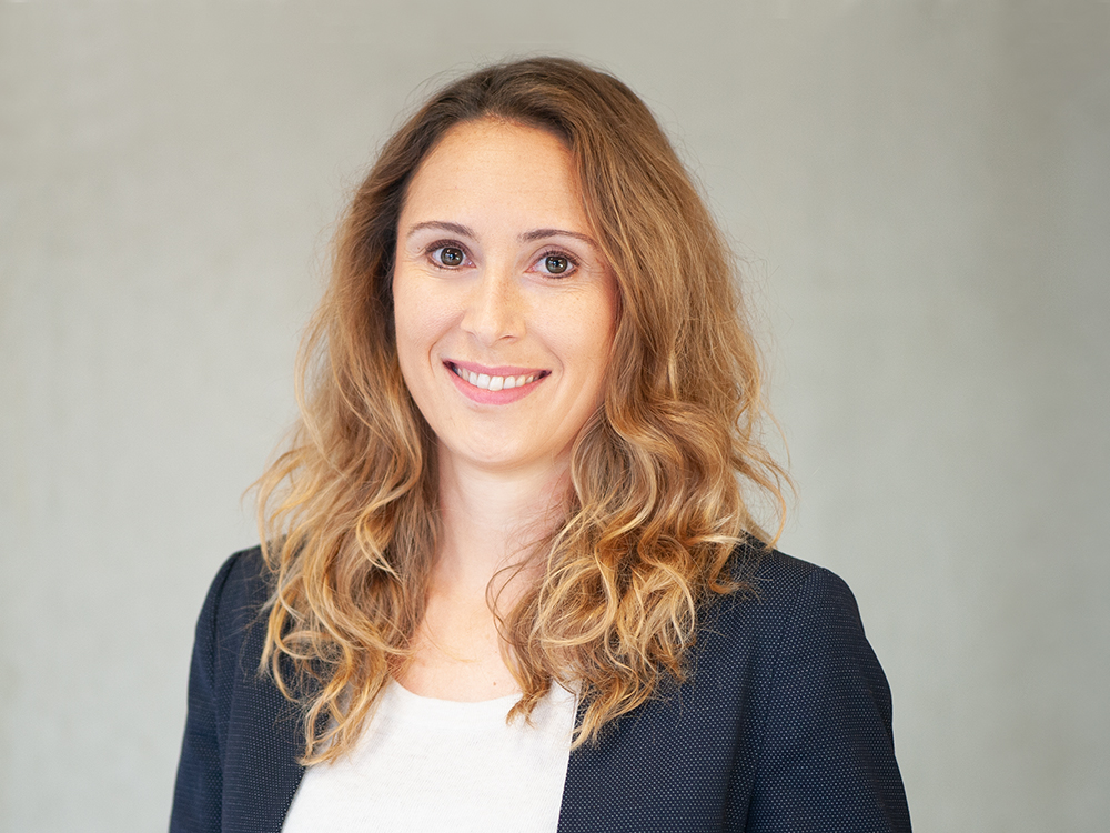 Das Bild zum Artikel