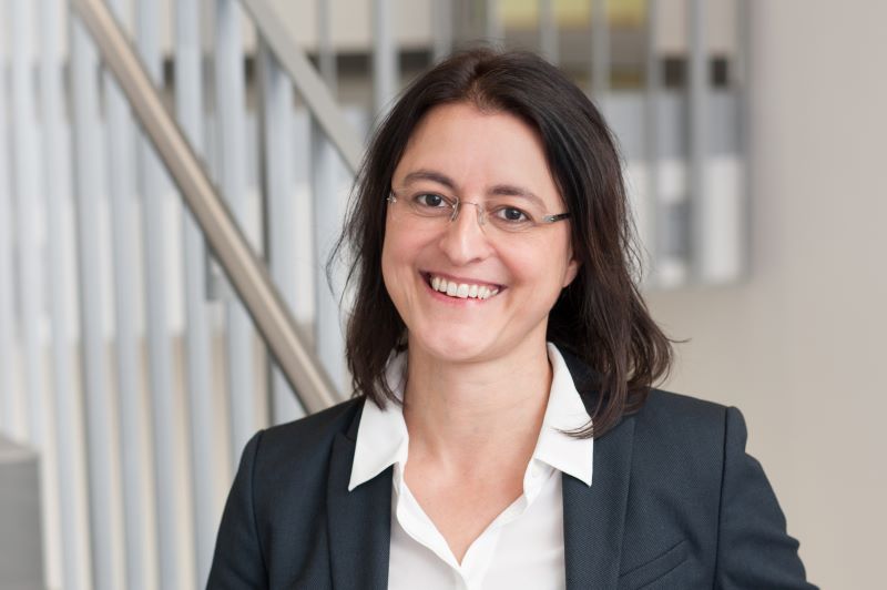 Das Bild zum Artikel