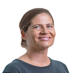 Das Bild zum Artikel