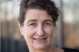 Das Bild zum Artikel