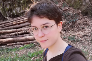 Das Bild zum Artikel