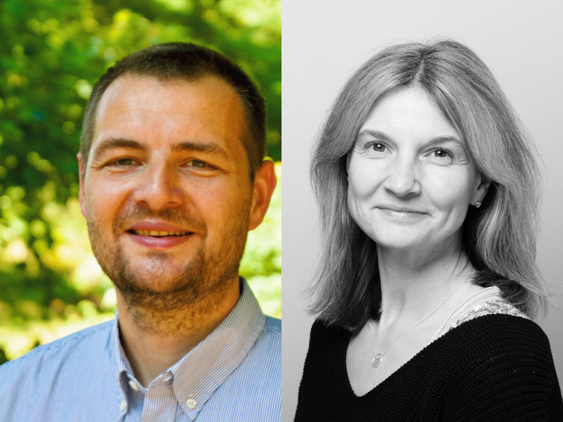 Das Bild zum Artikel